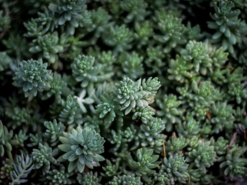 DC专业养号防封<br>新号老号防风控稳定权重维护